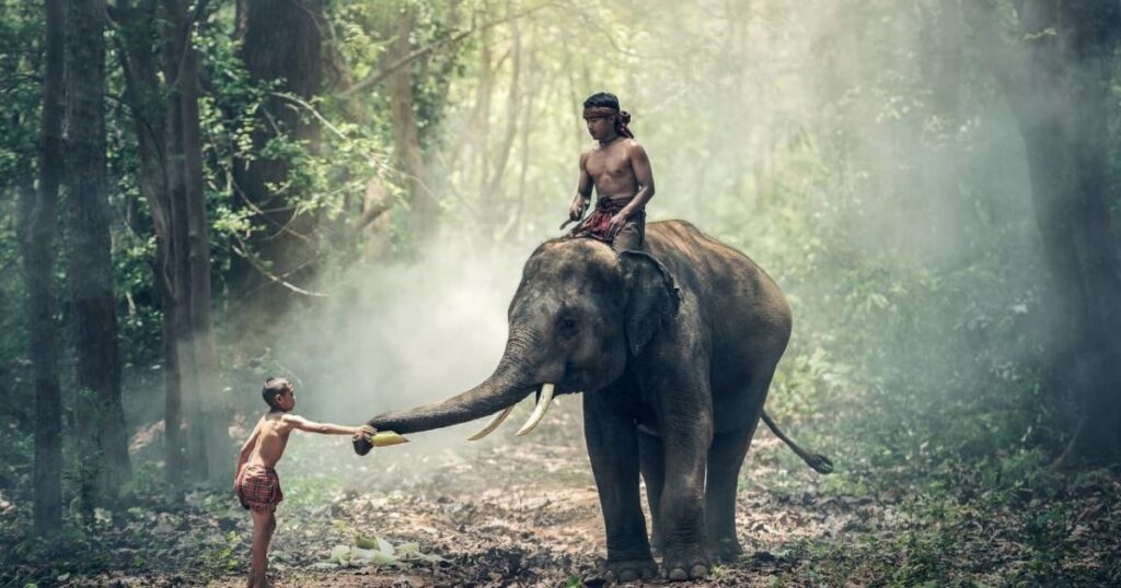 Beyond the Ordinary: Exploring 10 Beautiful Offbeat Destinations In India