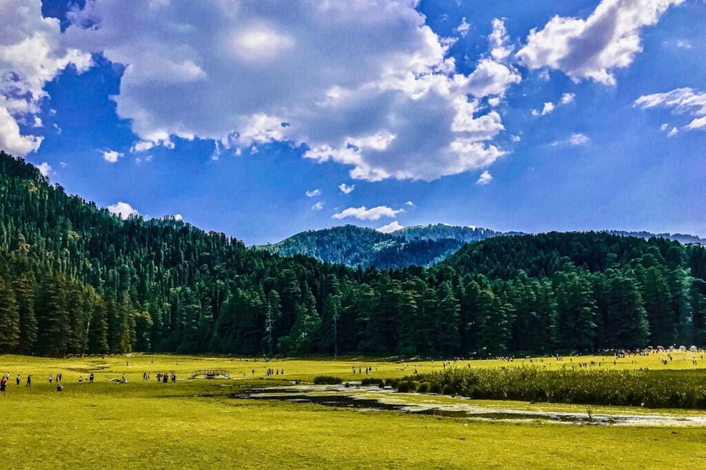A view of Khajjar in Himachal Pradesh
