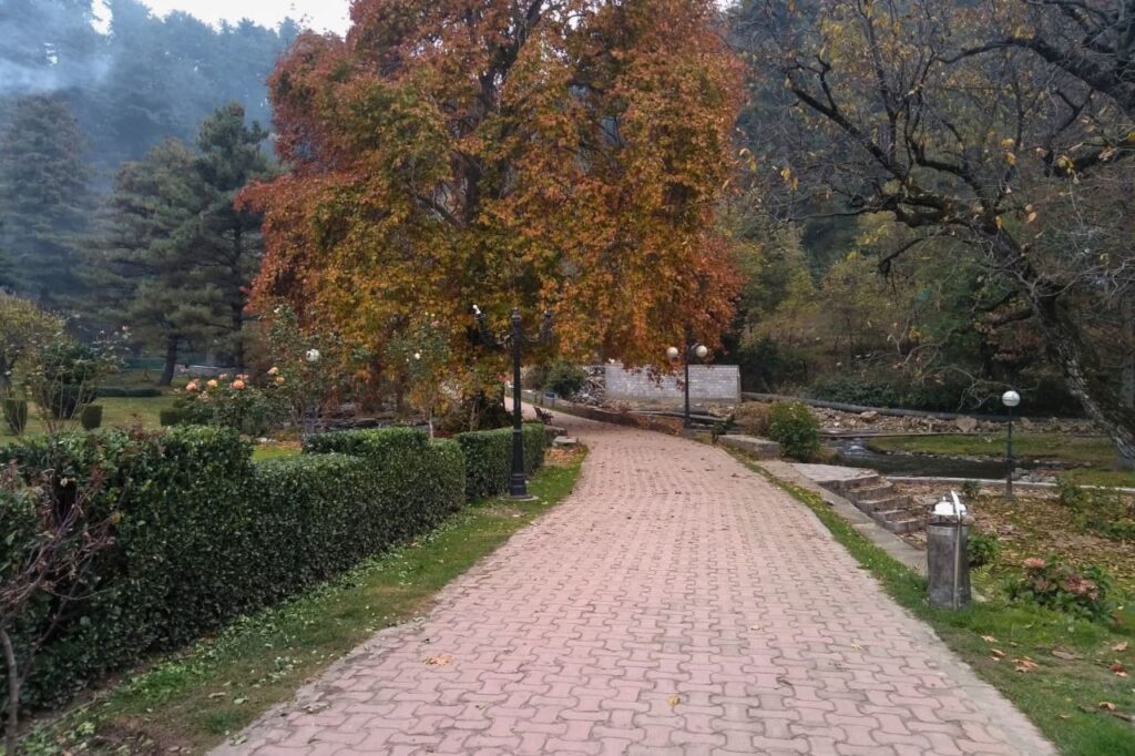 A garden with colorful trees in Kokernag