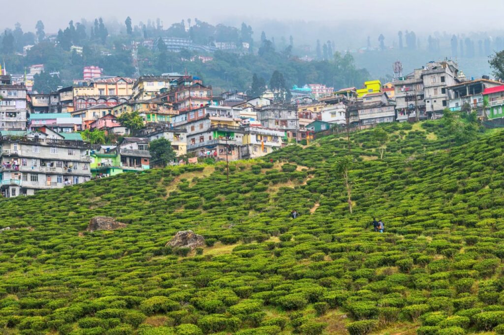 Houses behind a valley in Kurseong