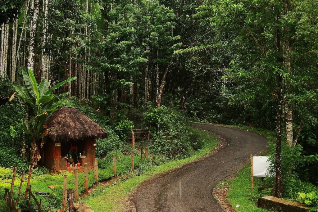 The roads of Agumbe