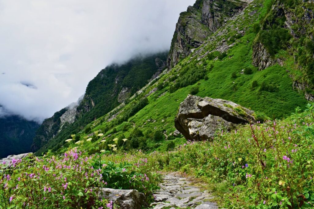 A view of the Valley Of Flowers in Uttarakhand