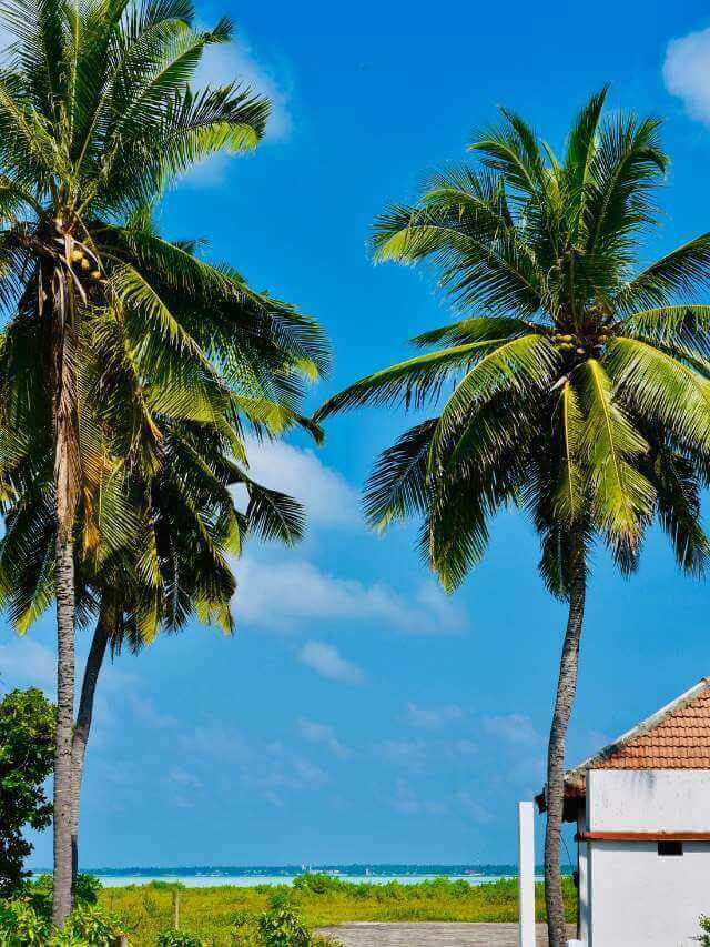 15 Lesser-Known and Surprising Facts About Lakshadweep